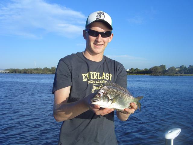 late arvo bream